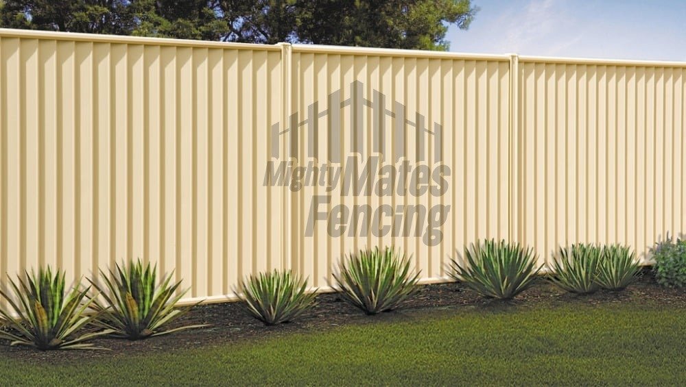 WhatsApp Image 2025 04 26 at 8.24.38 PM